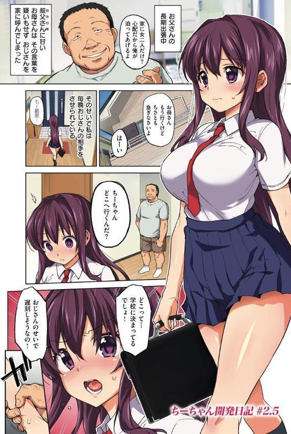 ちーちゃん開発日記【通常版】