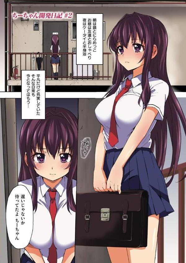 ちーちゃん開発日記【通常版】